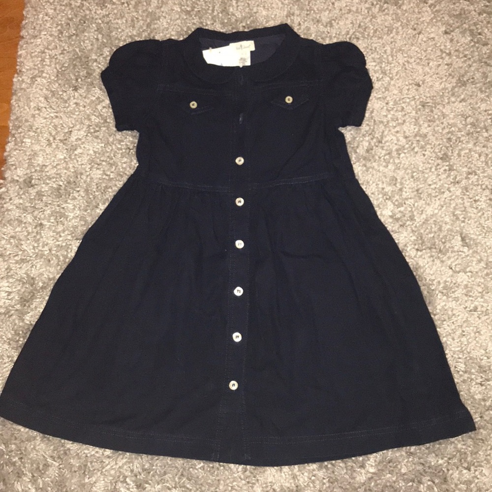 Olive juice navy denim dress.